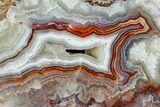 Polished Crazy Lace Agate Slab - Mexico #124213-1